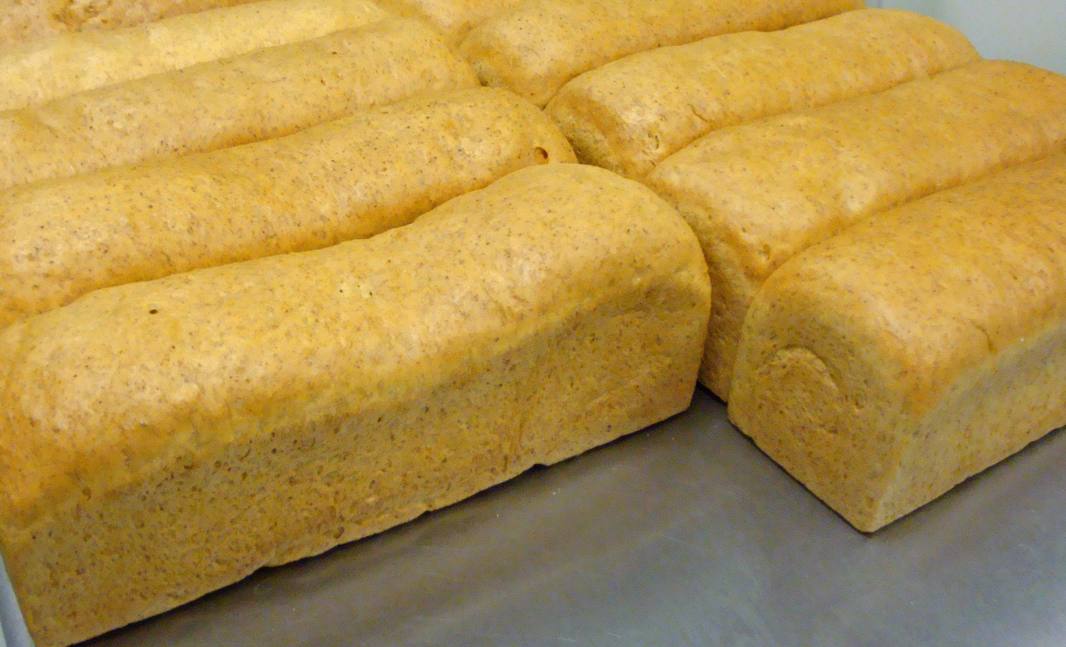 Thumbnail for Fresh Baked, Low Carb White & Multigrain Bread-Available Now!