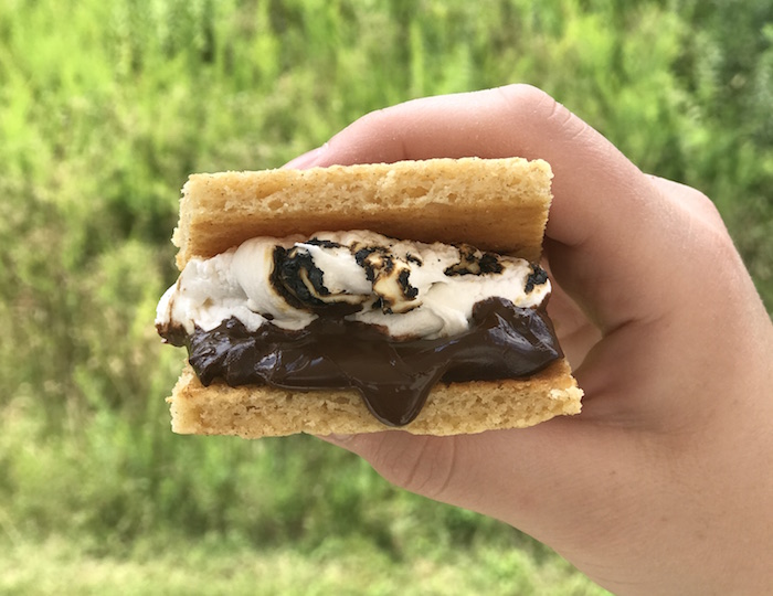 Thumbnail for Low Carb Snickerdoodle S’mores