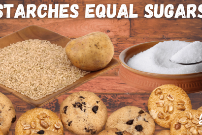 Thumbnail for Starches Equal Sugars