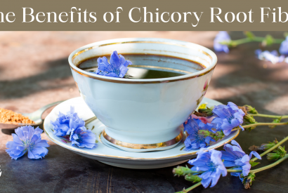 Thumbnail for The Benefits of Chicory Root Fiber