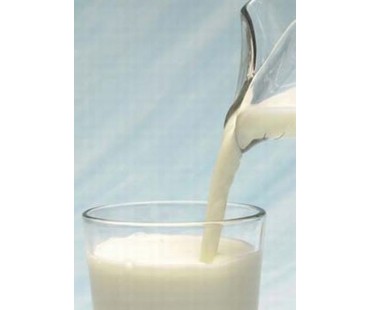 Low Carb Milk Mix